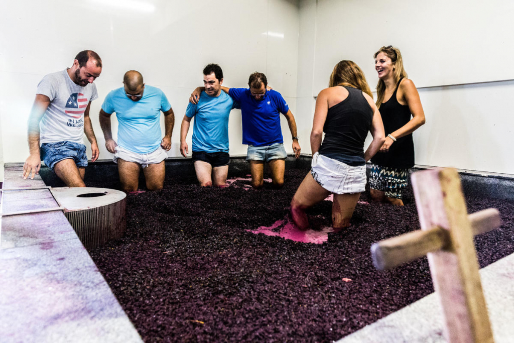 Pisa Das Uvas Crédito Victor Carvalho