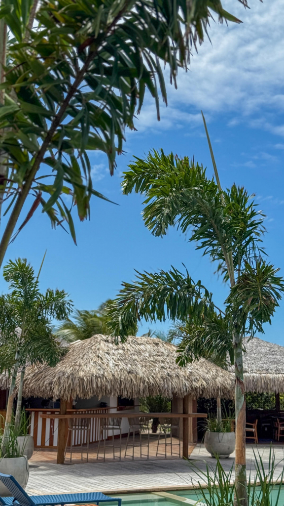 Tucana Blu No Jaguaribe Lodge Foto José Luís (2)