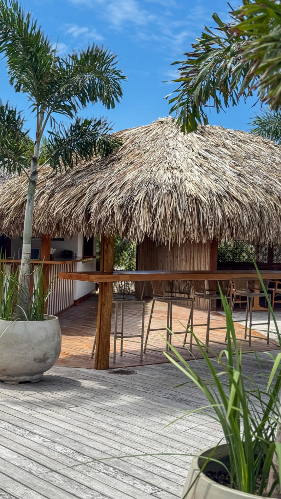 Tucana Blu No Jaguaribe Lodge Foto José Luís