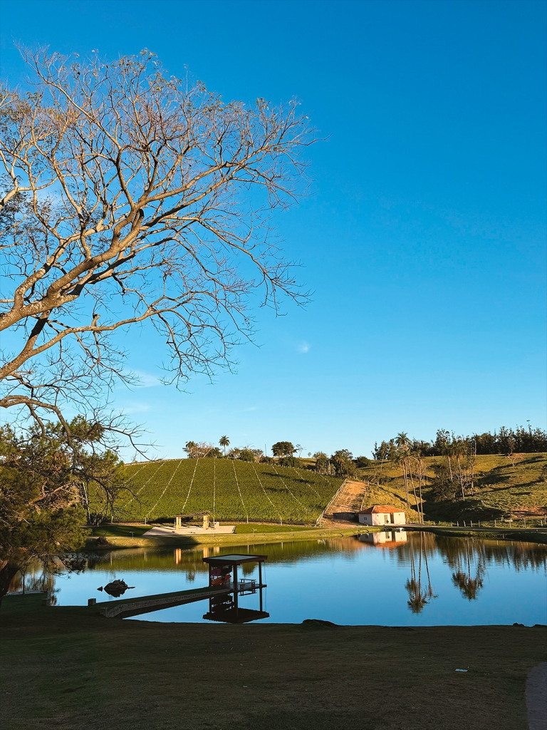 Vinícola Lancellotti (2)