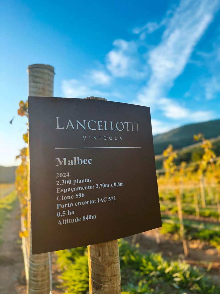 Vinícola Lancellotti