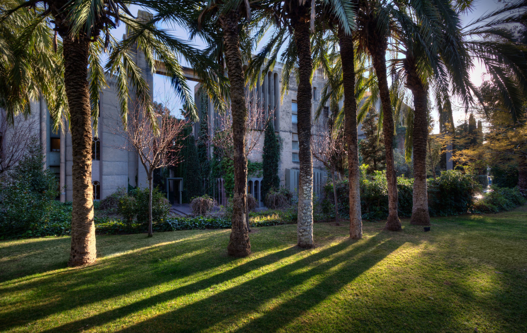 14216260220 514dff59d2 K