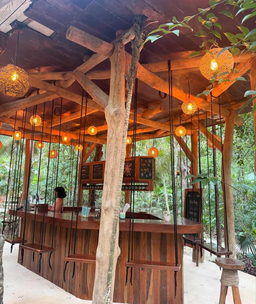 503495553 18511511692029363 1660163797099891150 N