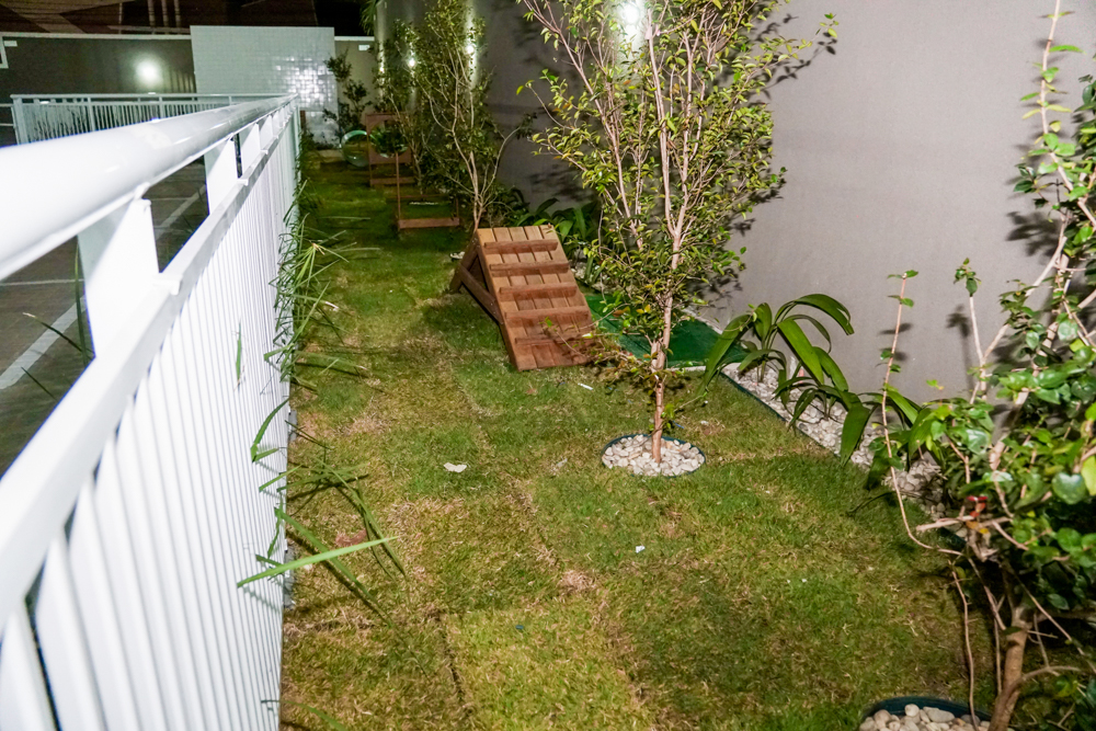 Entrega Do Tango Plaza De Fátima (44)