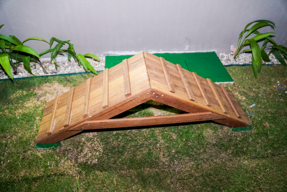 Entrega Do Tango Plaza De Fátima (45)