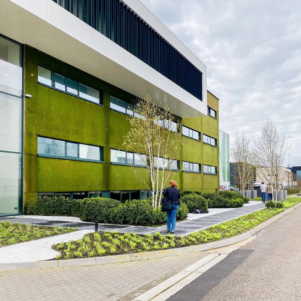 Estrutura Do Edifício Um Anos Após O Uso Da Técnica