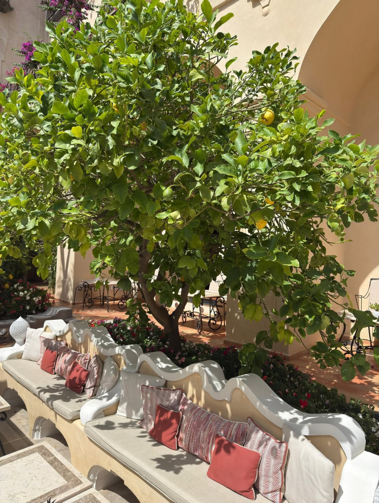 Férias De Maria Lúcia Negrão E Pedro Carapeba Em Positano (4)