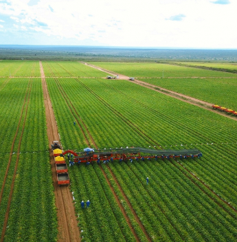Agro cearense cresce 148% em uma década e quase triplica participação no PIB estadual