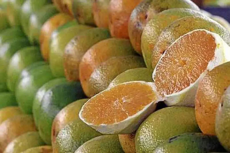 Laranjas