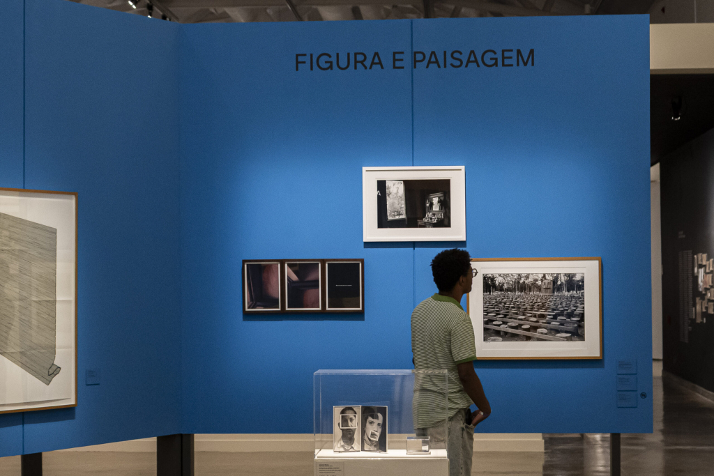 Vista Da Exposicao Mam Sao Paulo Na Pinacoteca Do Ceara Figura E Paisagem Scaled