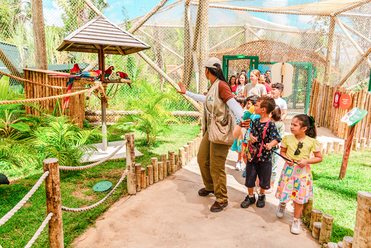 Parque Arvorar apresenta programa de educação ambiental para escolas