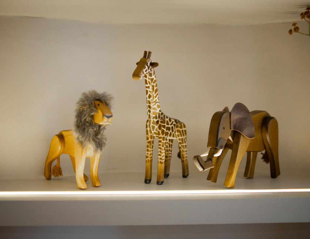 Clínica Dra. Lara Braun (6)