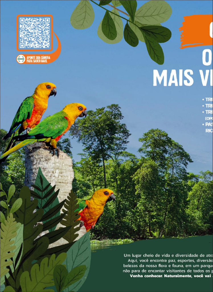 Insider #274 Bruno Padredi2