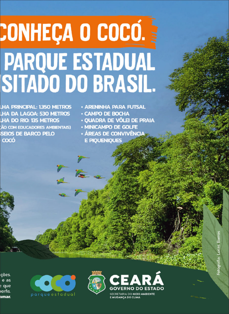 Insider #274 Bruno Padredi3