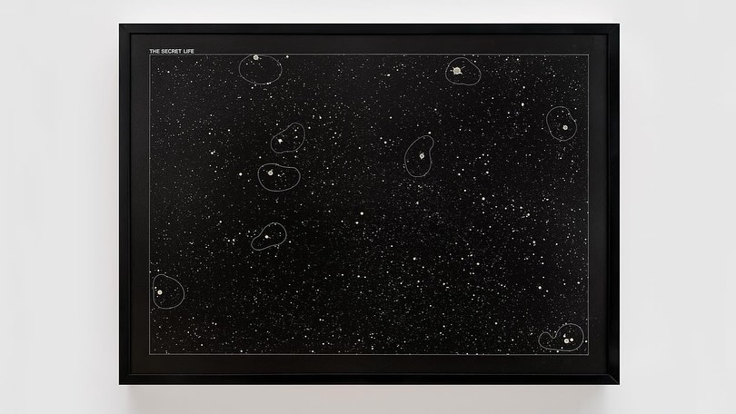 Obra The Secret Life” (1970), De Antonio Dias