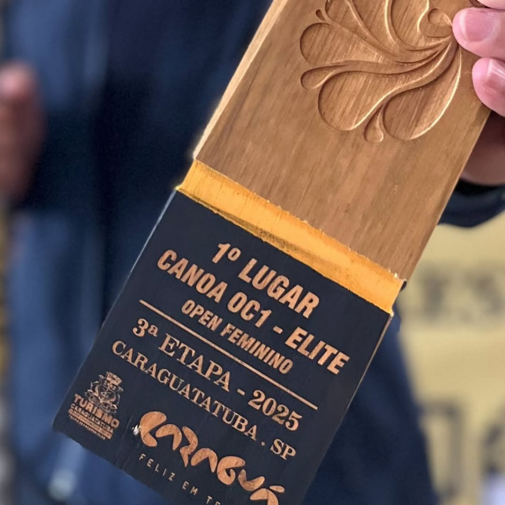 Prêmio De Renata Pimentel