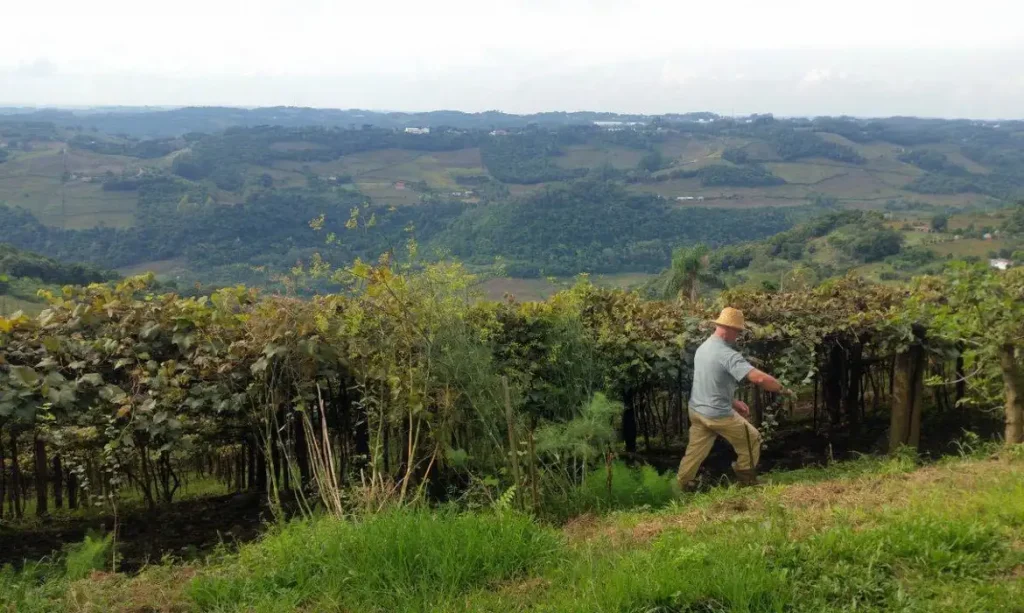 Propriedade Rural Foto Agência Brasil