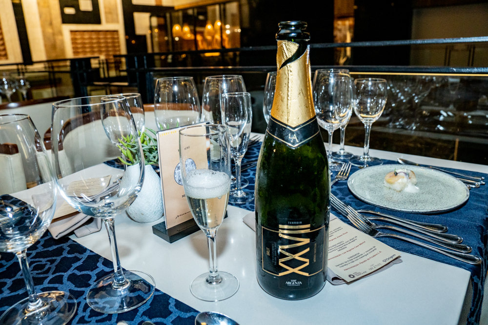 Wine Dinner Mucuripe (16)