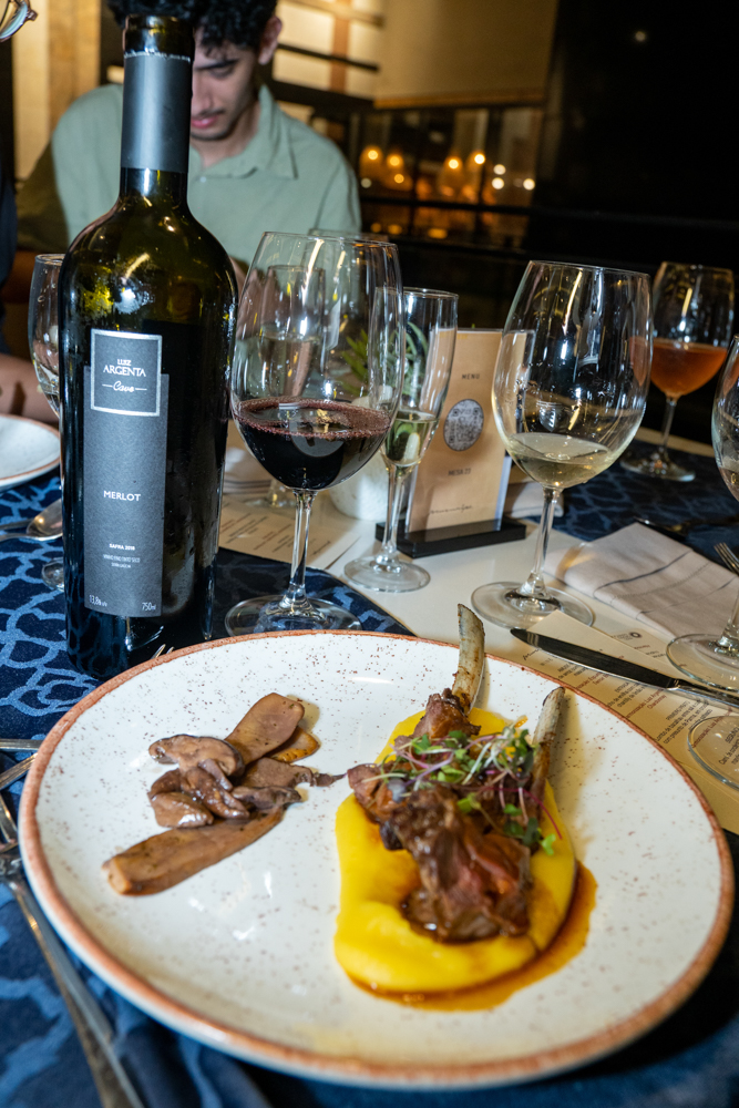 Wine Dinner Mucuripe (29)