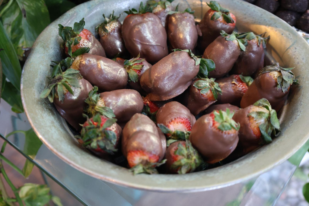 Aniversário Ticiana Lima (2)