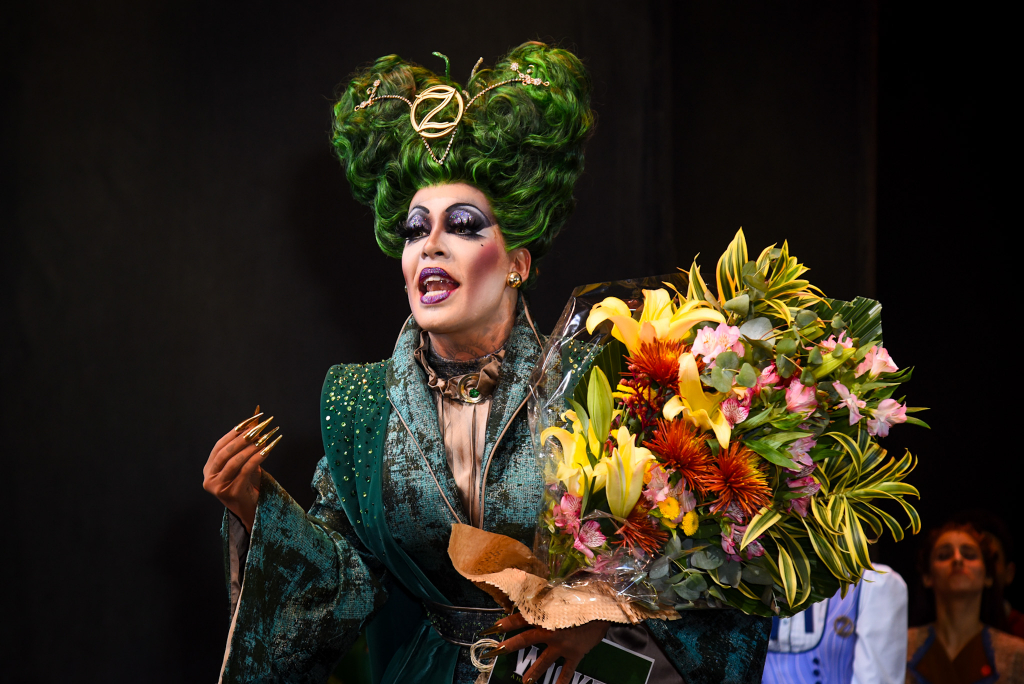 Aplausos Finais De Wicked