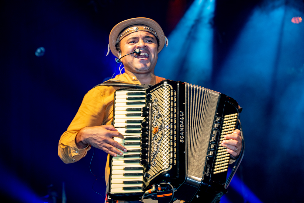 Chambinho Do Acordeon (4)