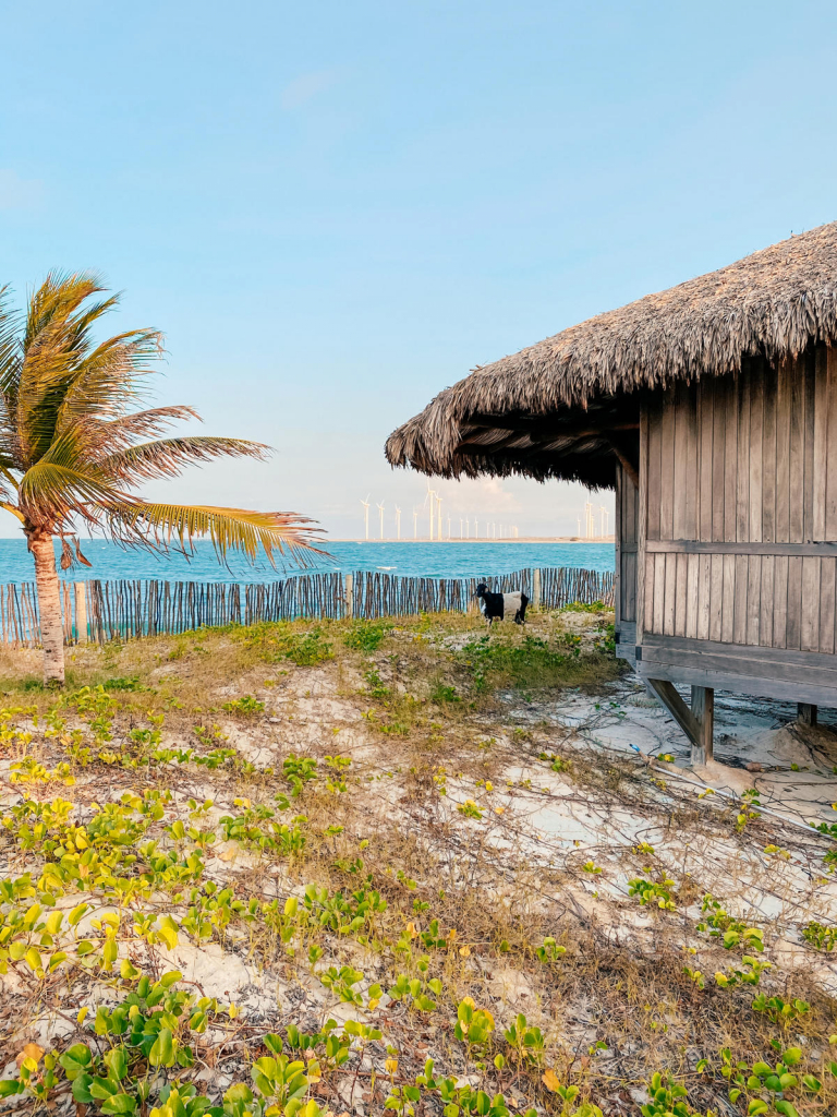 Contato Com A Natureza No Jaguaribe Lodge Carol Ávila