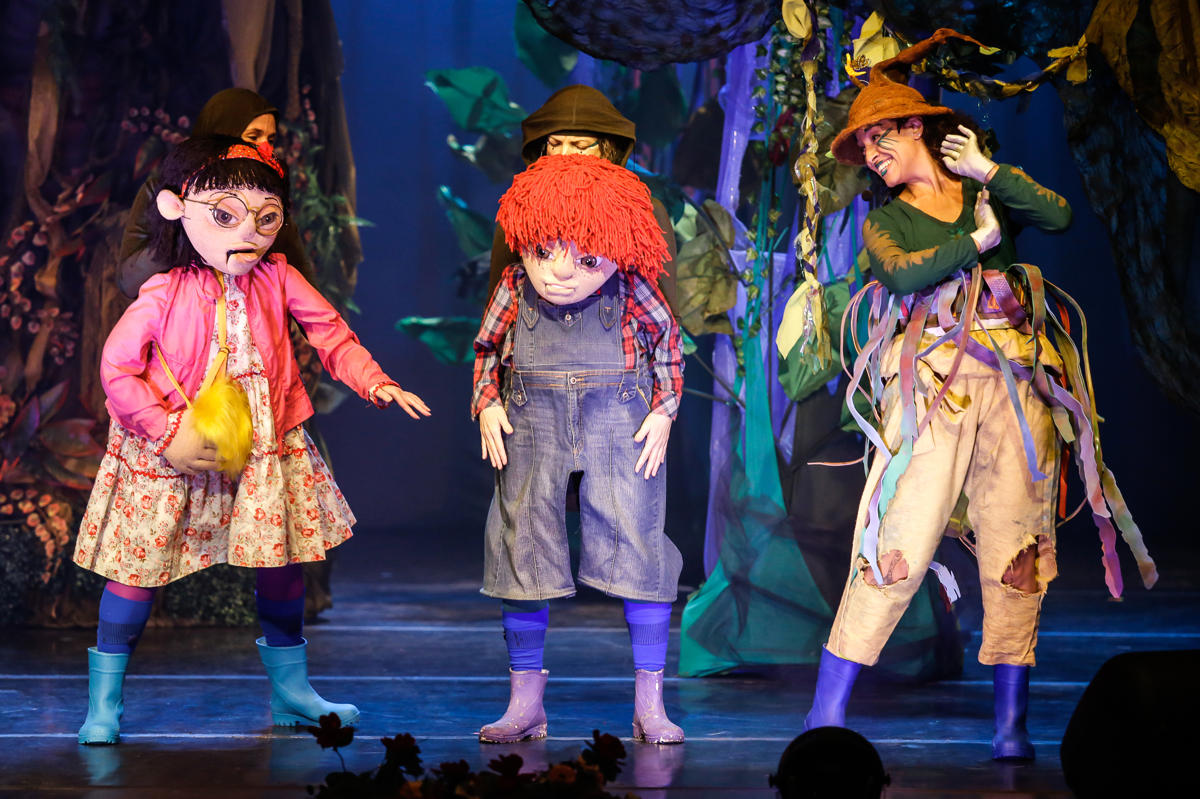 A Floresta Dos Mistérios | De Márcio Araújo