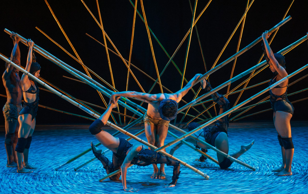 Fts Sagracao Flavio Colker 20 Scaled