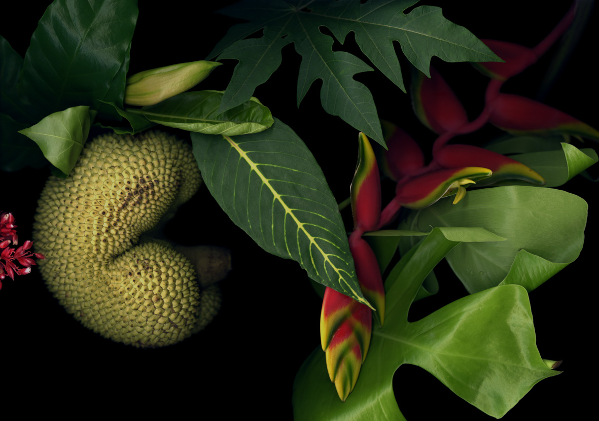 Luzia Simons, Casa De Vidro