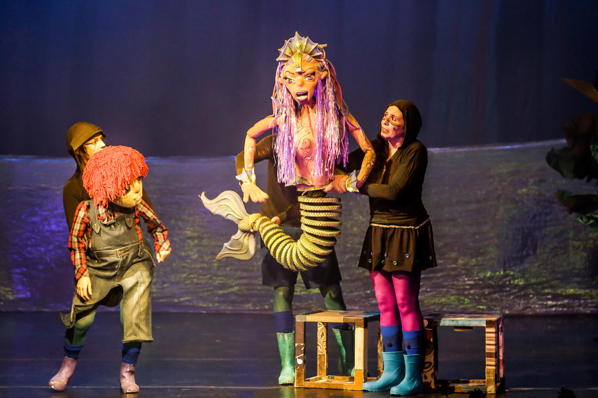 A Floresta Dos Mistérios | De Márcio Araújo