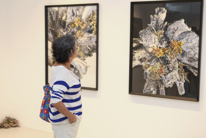 Arte em fusão - Resurgentis: Sérgio Helle lança obra e exposição inédita na Galeria Leonardo Leal