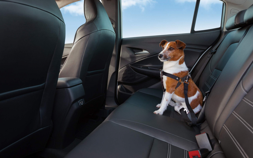 20chgage45083 V6 001