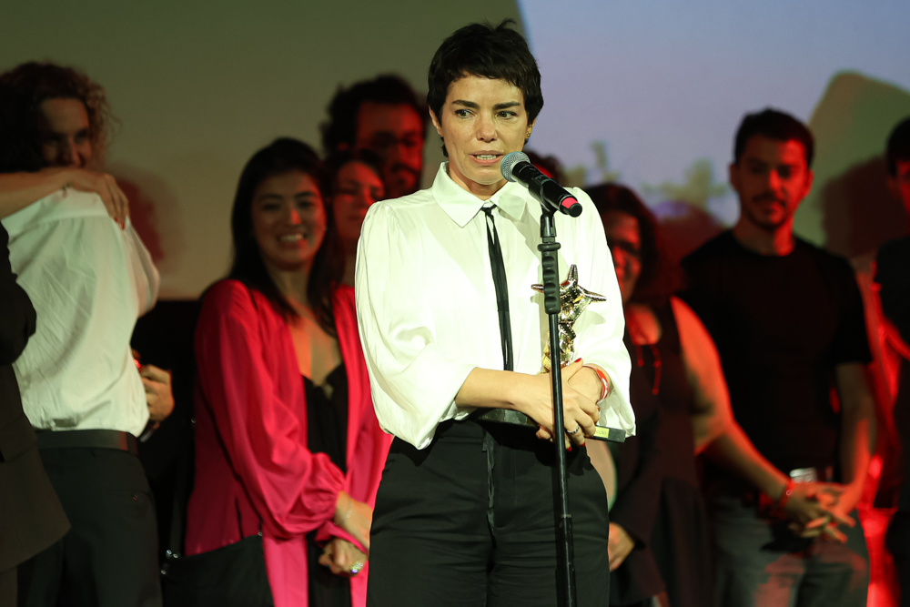 Anne Pinheiro Guimarães