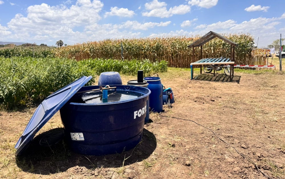 Projeto de piscicultura e aquaponia terá investimento de R$ 1,7 milhão no Cariri