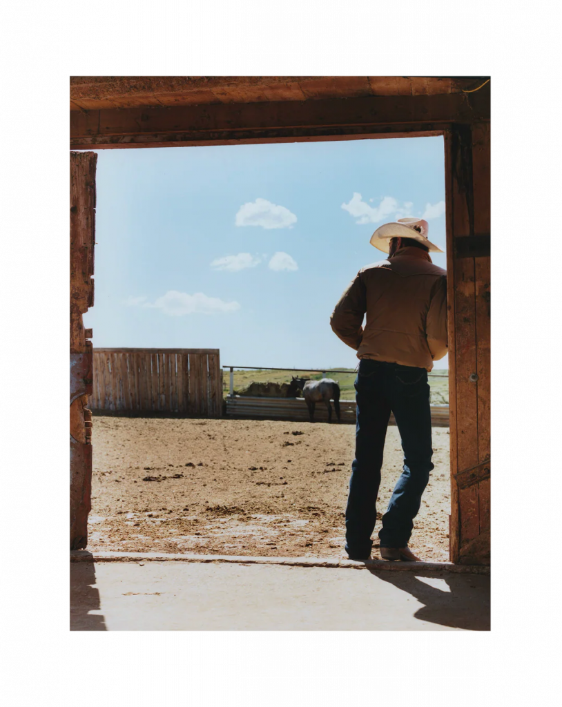 Campanha Da Austin Post (3)