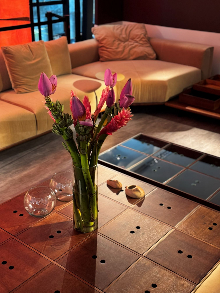 Conexão Gd 2025 (2)