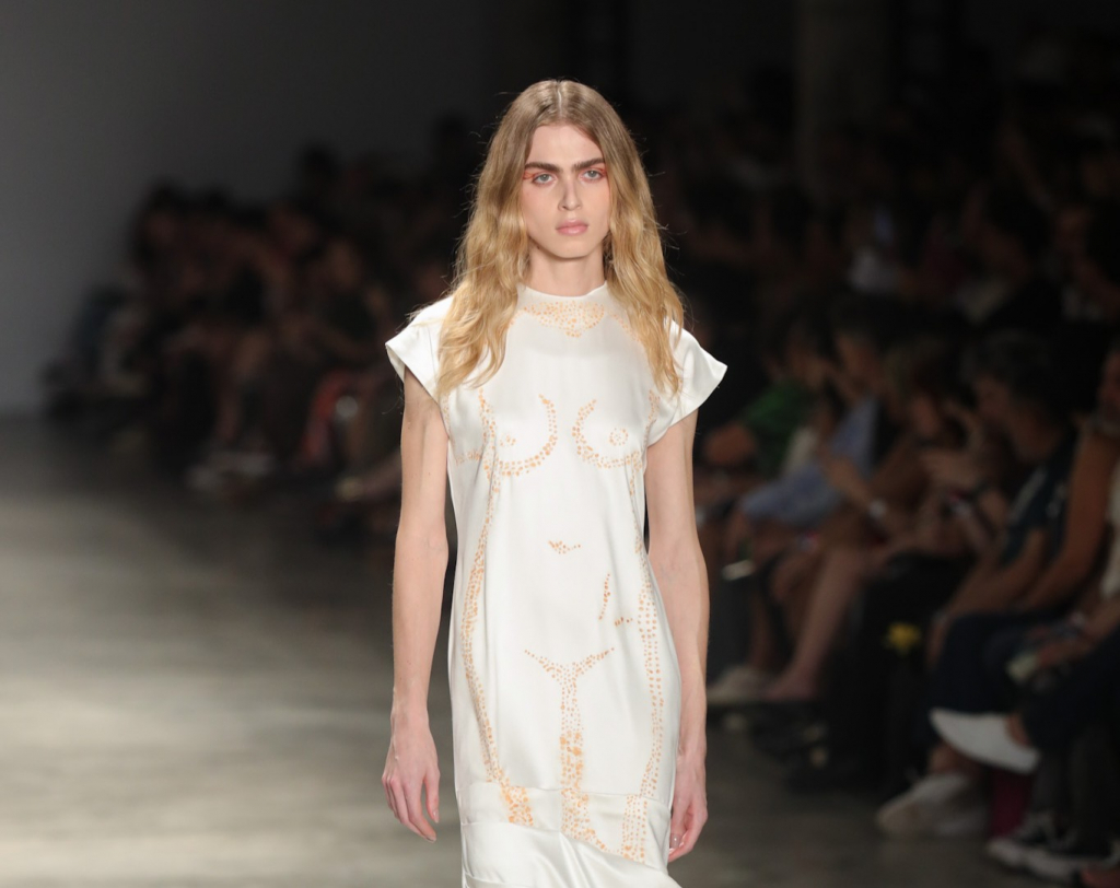 Desfile Da Normando (2)