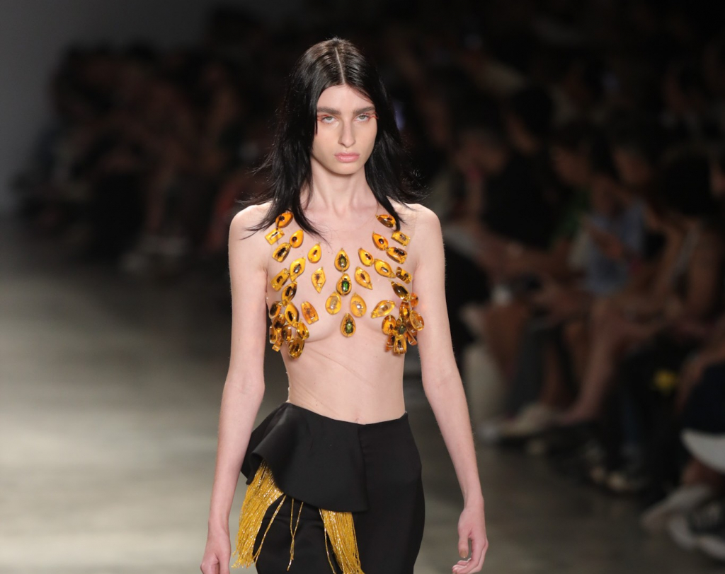 Desfile Da Normando (8)