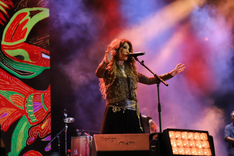 vibes cariocas - Famosos se reúnem para curtir o festival ‘Clássicos do Brasil’ no Rio de Janeiro