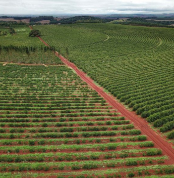 Embaixador do Irã no Brasil diz que guerra não deve interromper comércio de fertilizantes