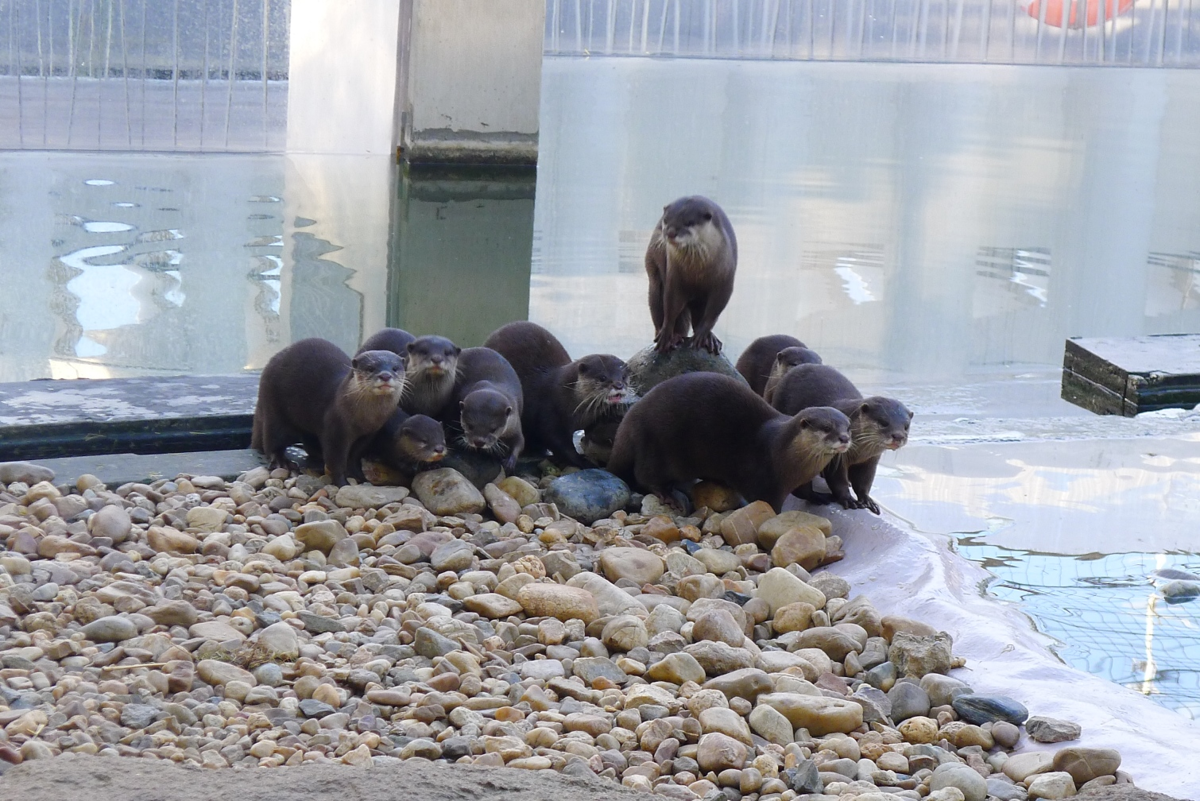Fluviario De Mora Crédito Turismo Do Alentejo(1)
