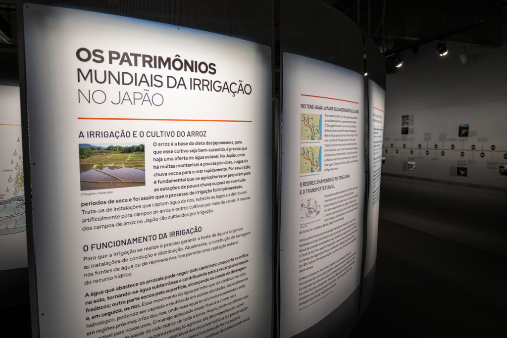 Fluxos Jhsp Por Marina Melchers 17