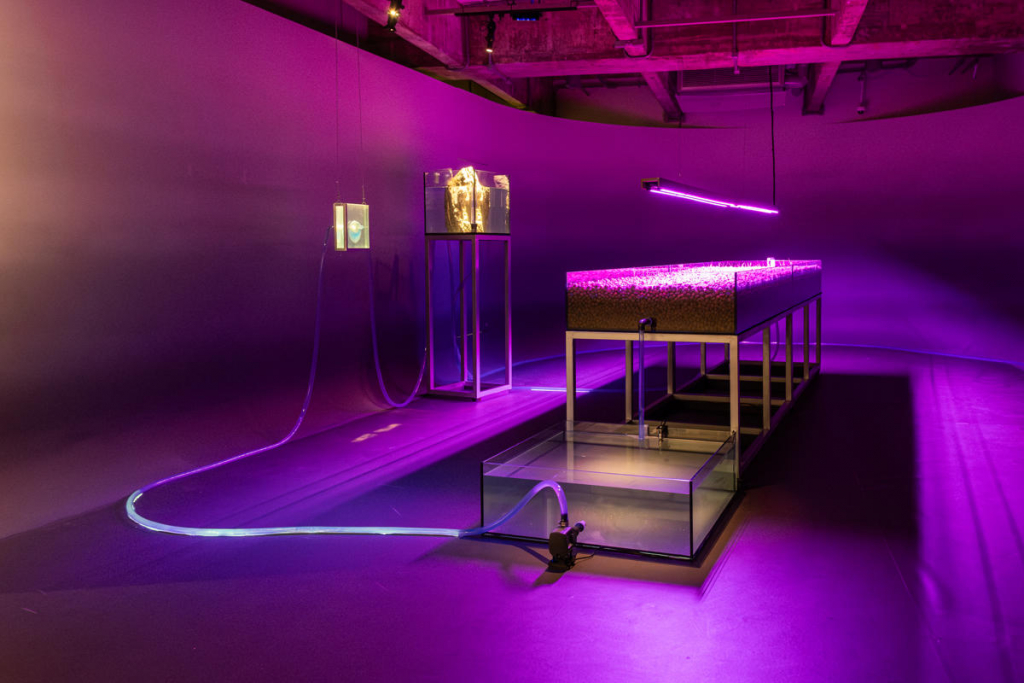 Fluxos Jhsp Por Marina Melchers 33