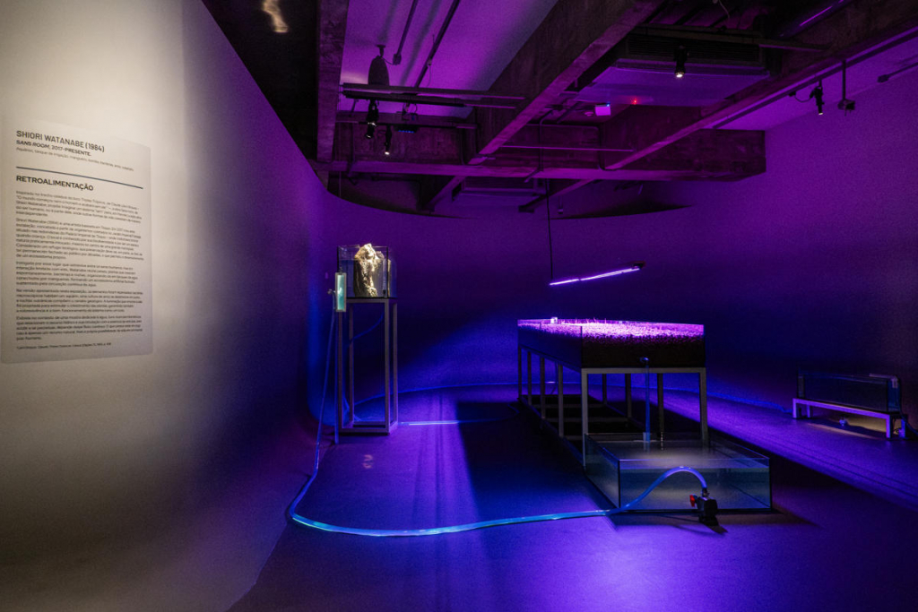 Fluxos Jhsp Por Marina Melchers 36