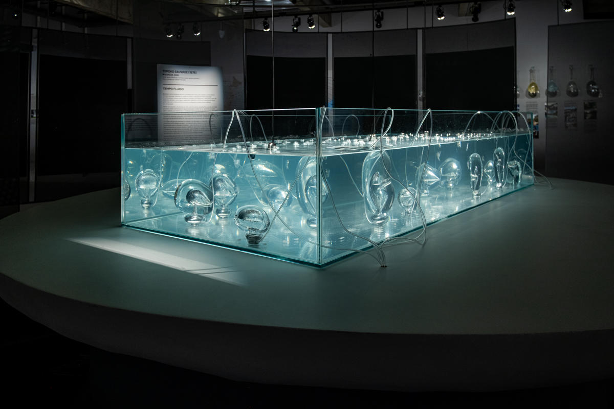 Fluxos Jhsp Por Marina Melchers 73