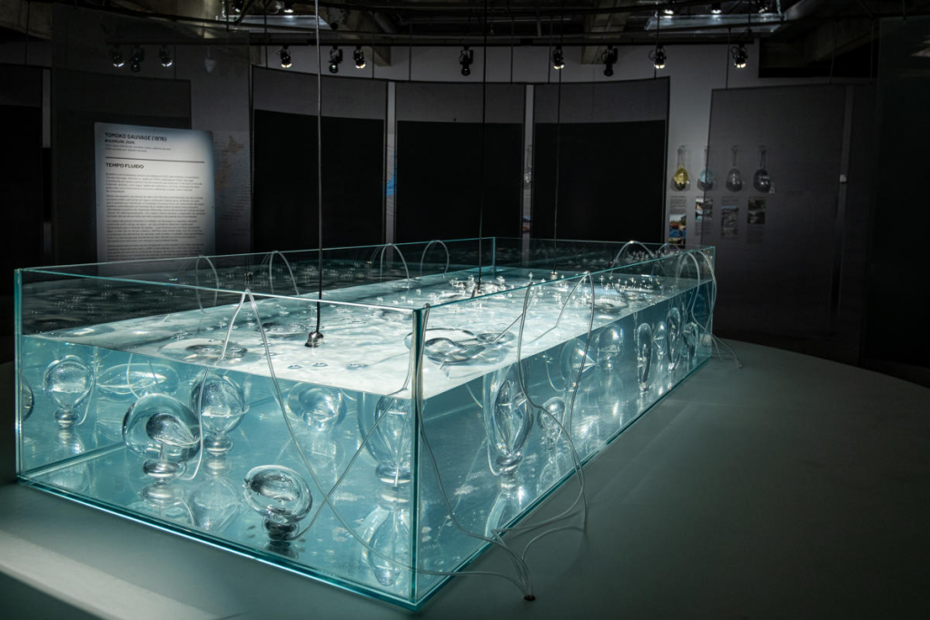 Fluxos Jhsp Por Marina Melchers 76