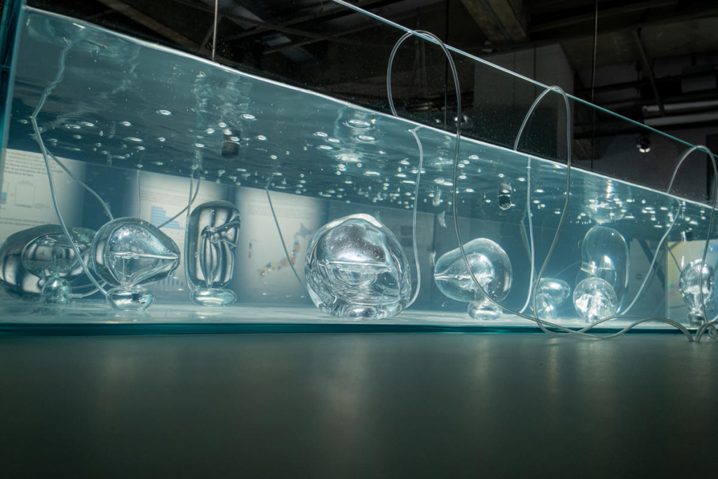 Fluxos Jhsp Por Marina Melchers 81