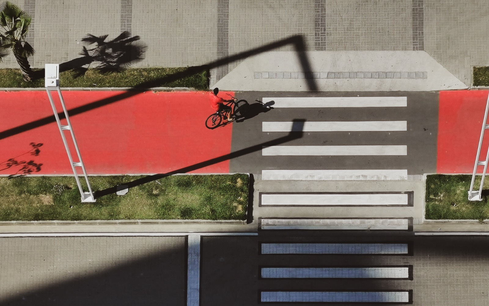 Foto De Autoria De Demétrio Jereissati (2)