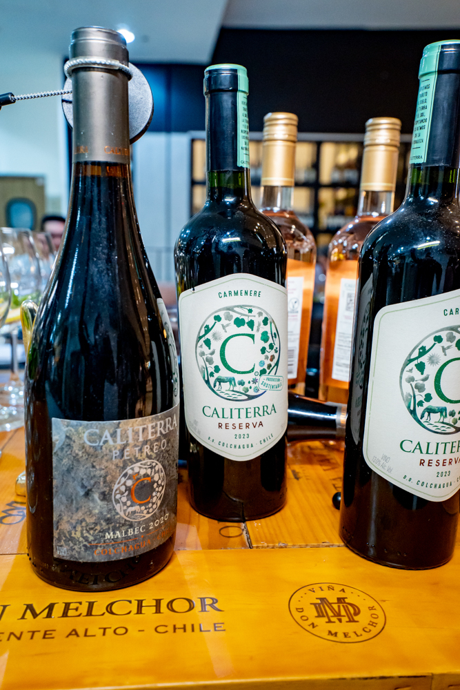 Jantar Harmonizado Brava Wine (8)